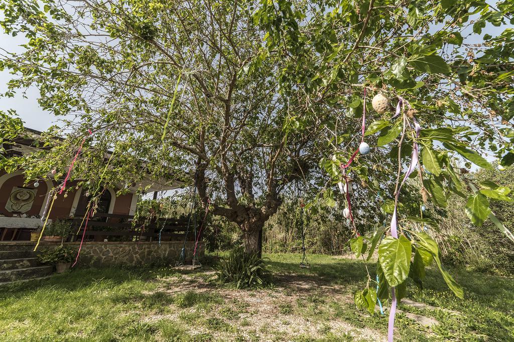 Country house Araba Phoenix Castellabate