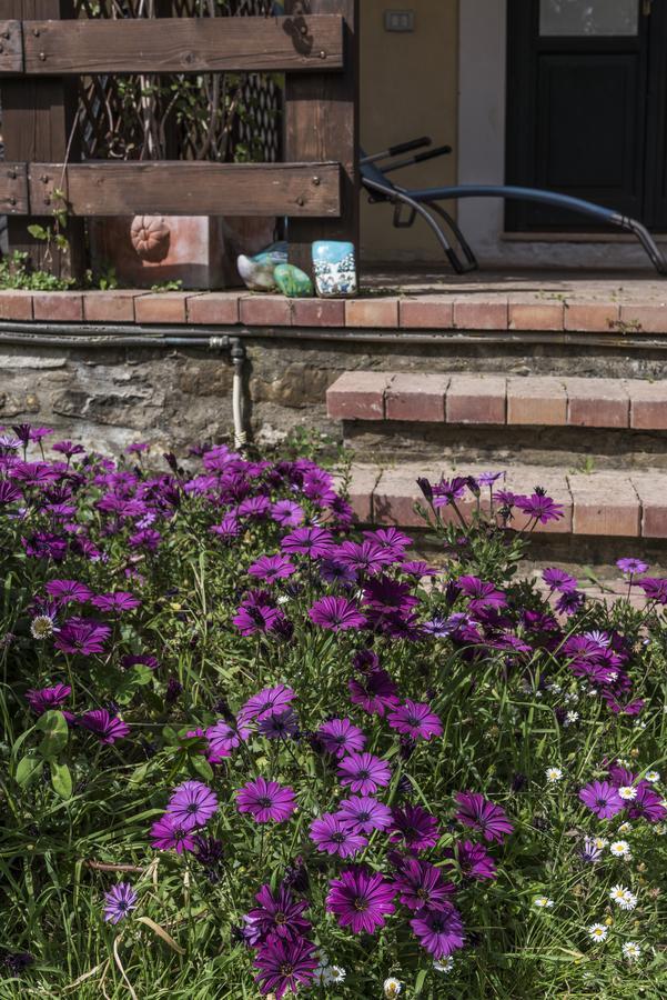 Country house Araba Phoenix Castellabate